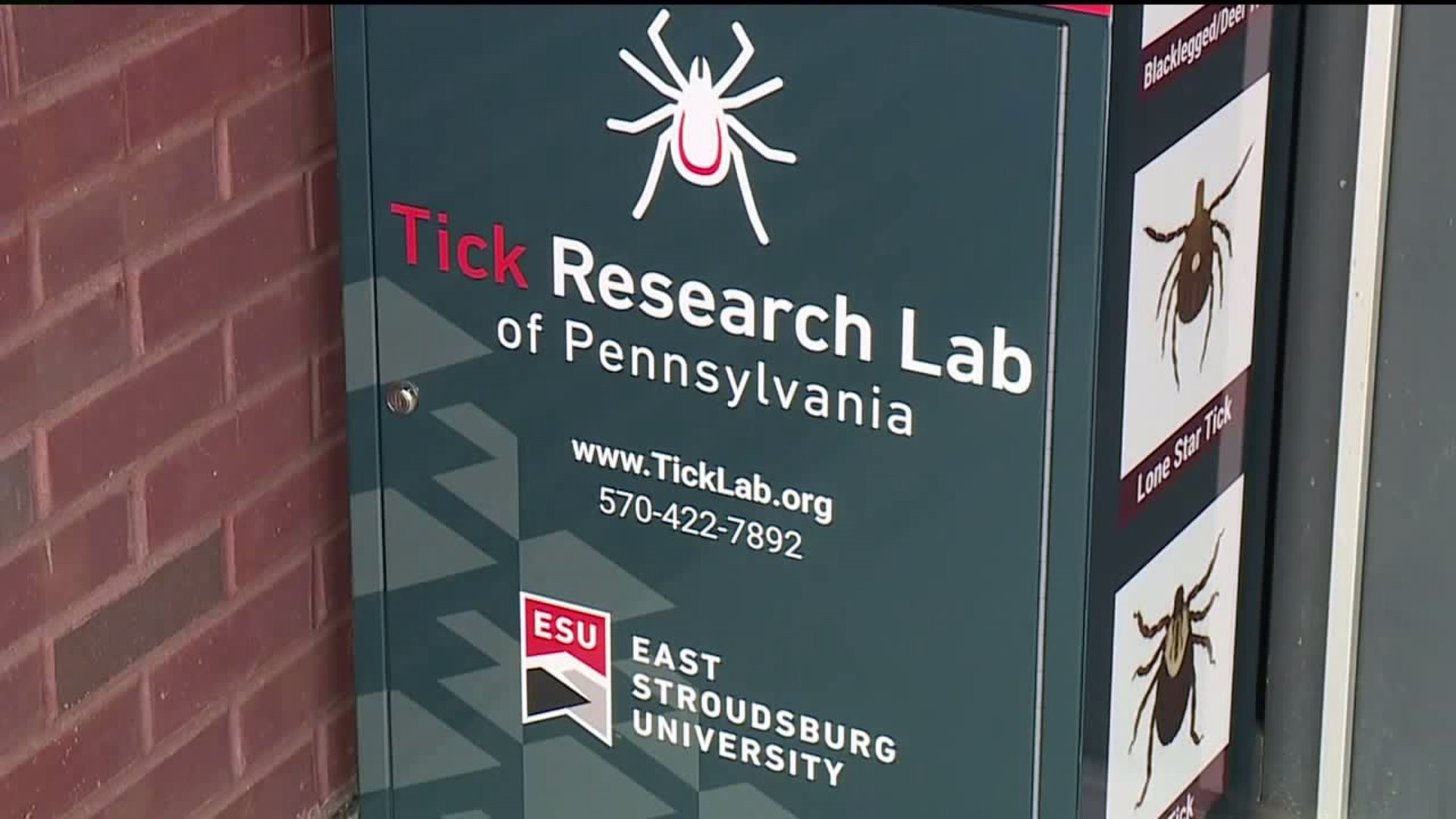 Ticks Tested for Free at ESU Lab