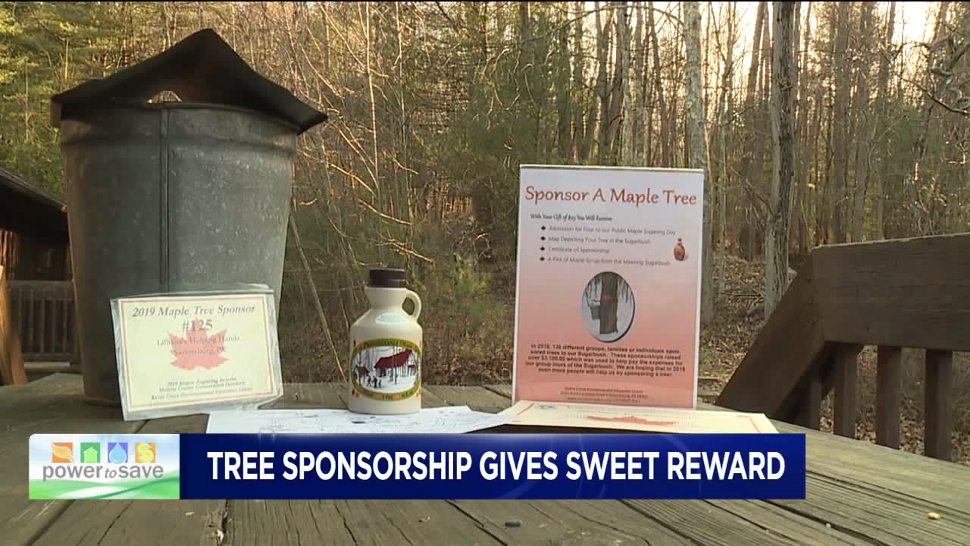 Tree Sponsorship Gives Sweet Reward