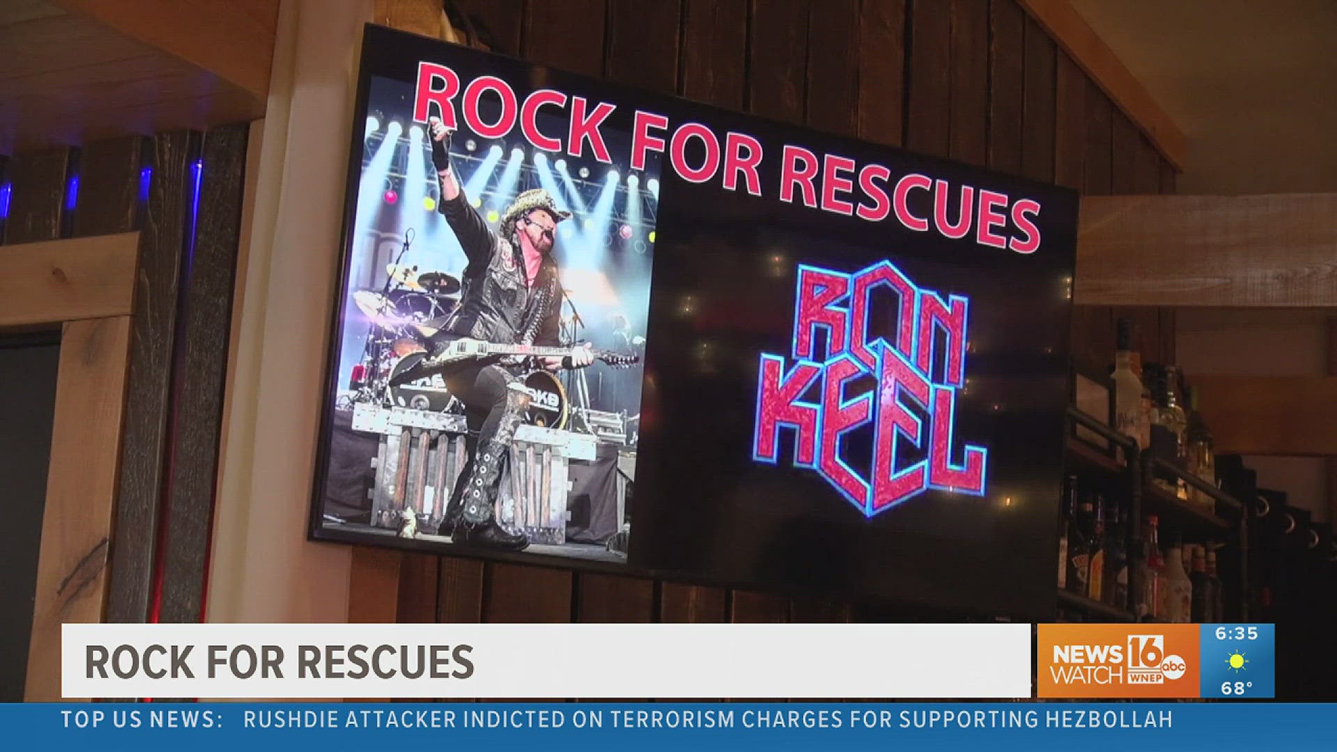 Rock for Rescues benefits local animals in need