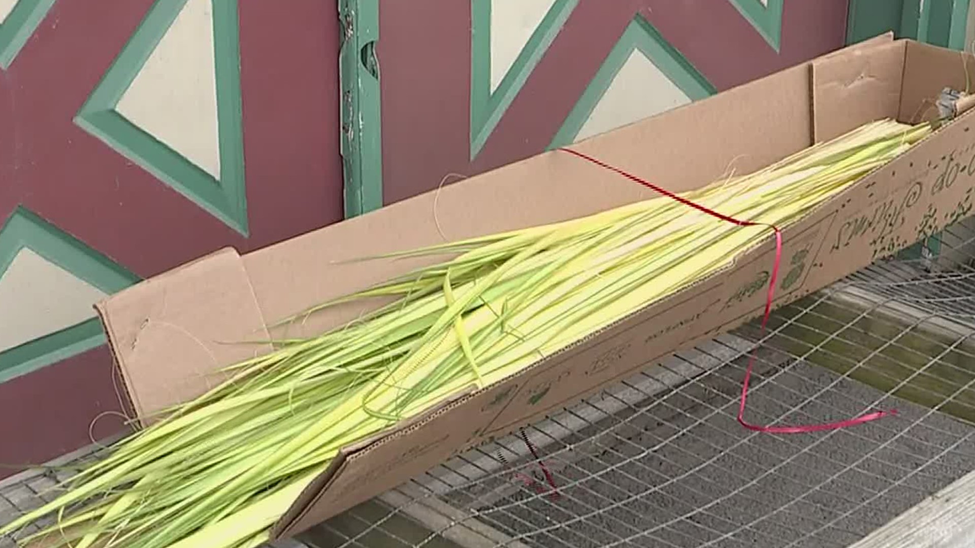 Florist giving out free palms for Palm Sunday
