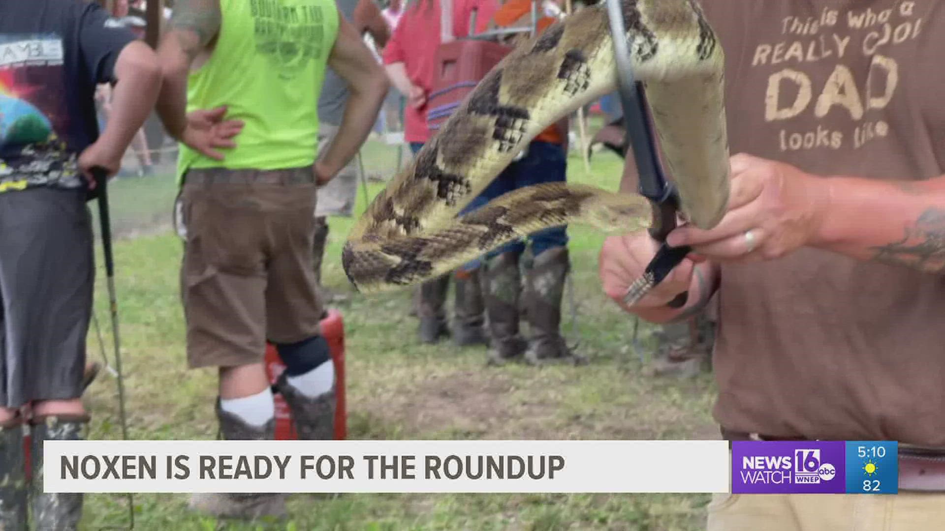 The popular and unique Rattlesnake Round Up fundraiser takes place June 16 – 19 in Wyoming County.