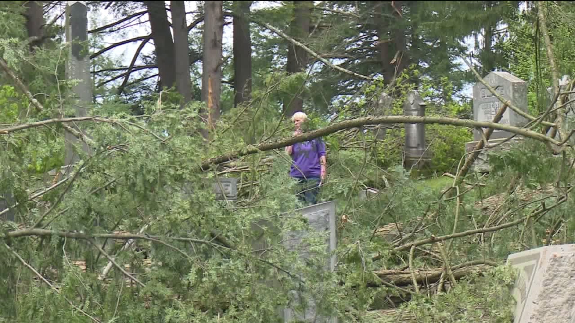 Storm Snaps Trees, Topples Tombstones at Glen Dyberry Cemetery