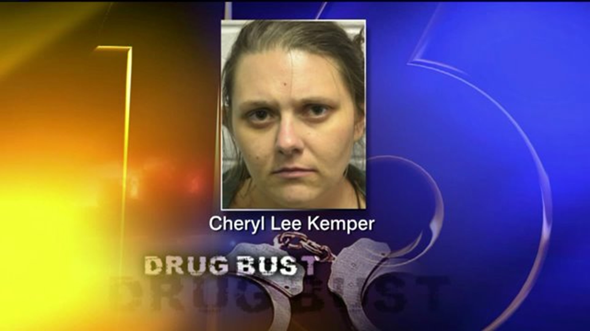 Woman Facing Slew of Charges after Meth Lab Bust