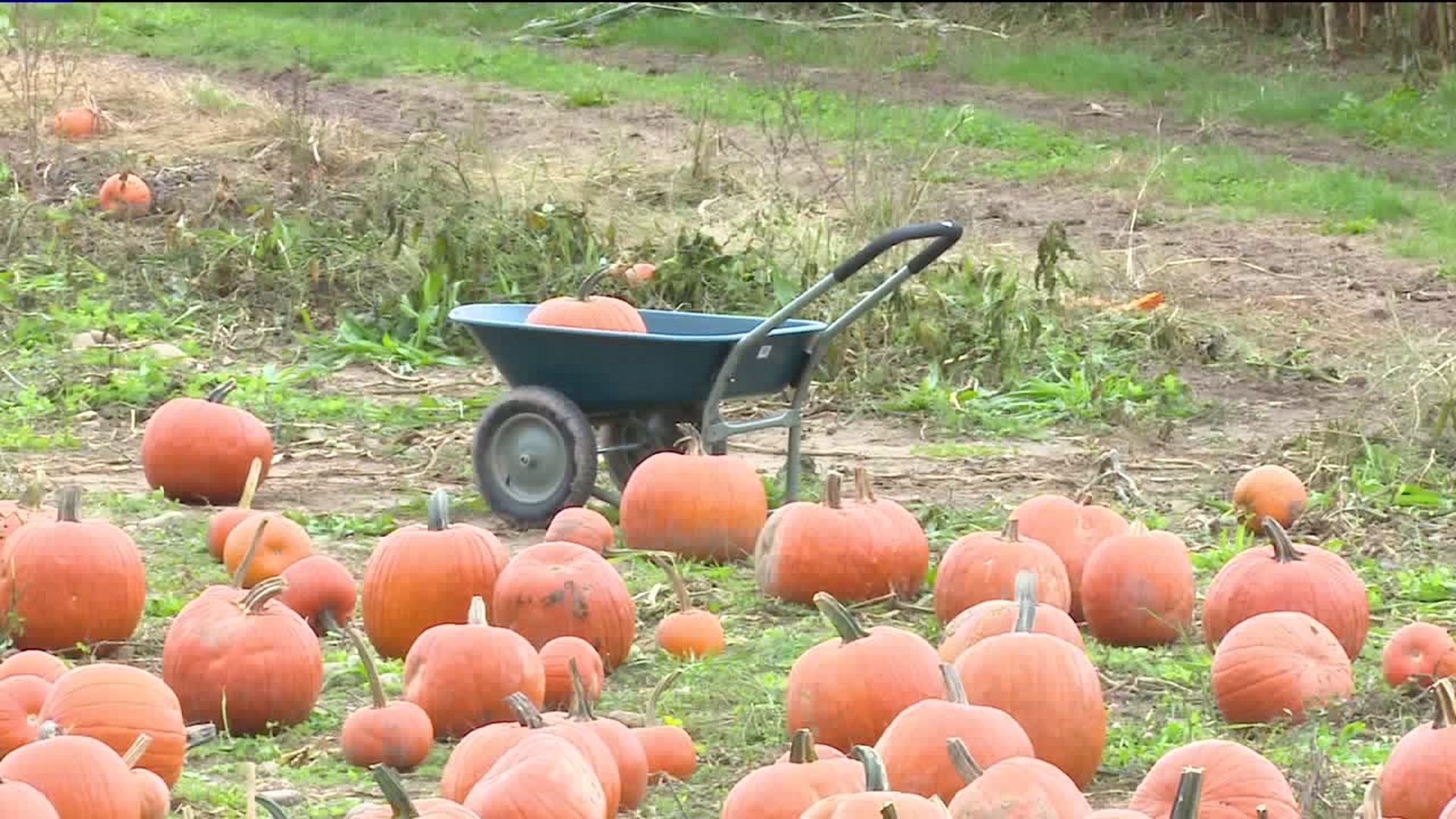 Fall Failing Businesses in Wyoming County