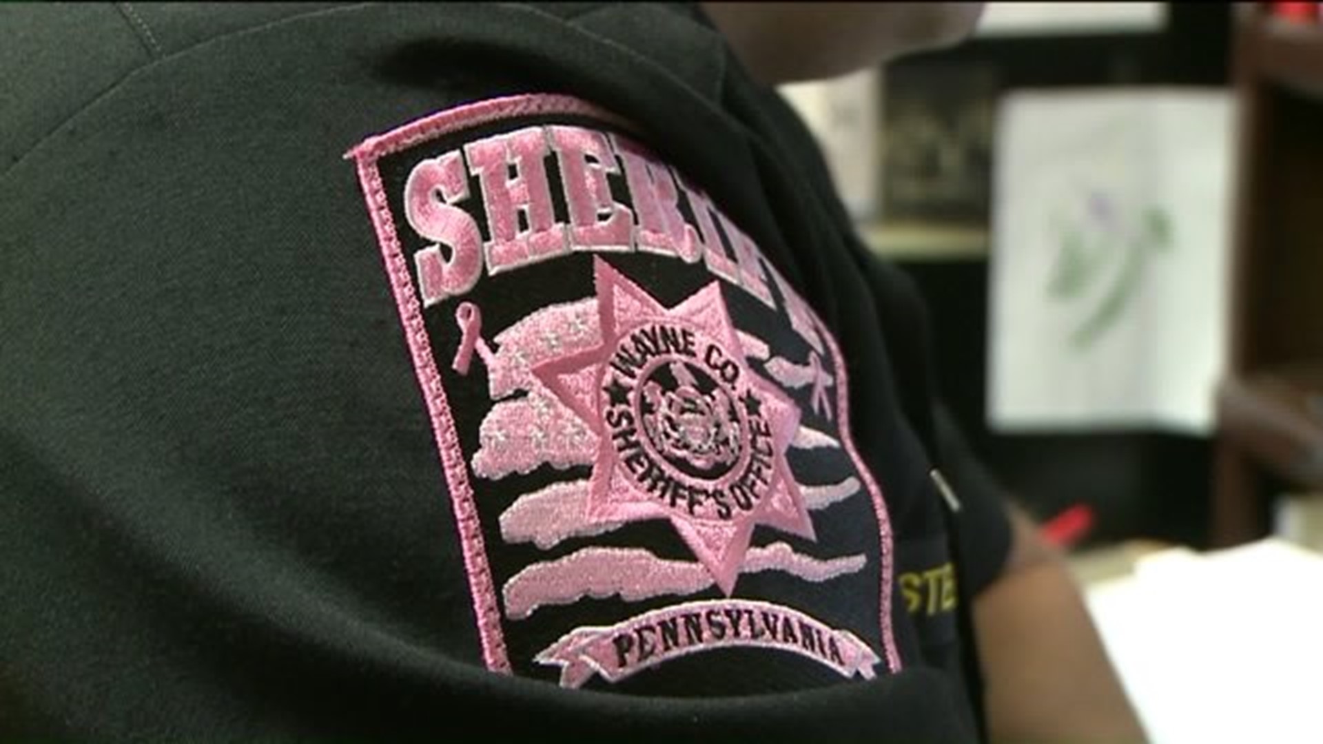 Wayne County Sheriffs Sport Pink for Fellow Deputy