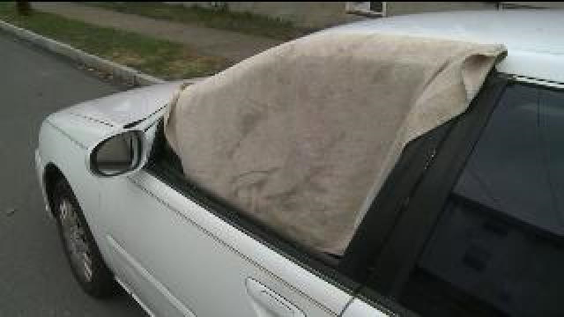 Vandals Shoot Out Dozens of Car Windows