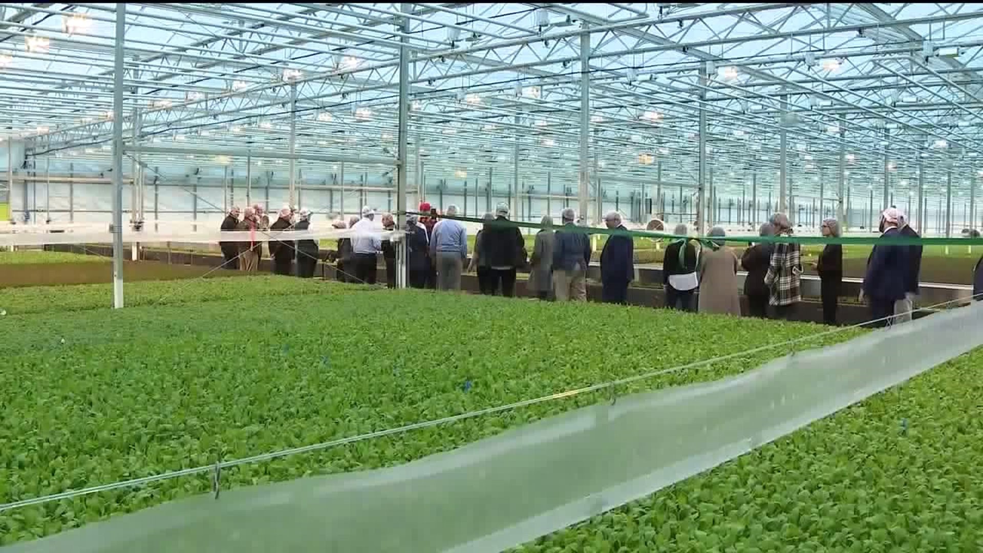 BrightFarms Celebrates First Harvest in Snyder County