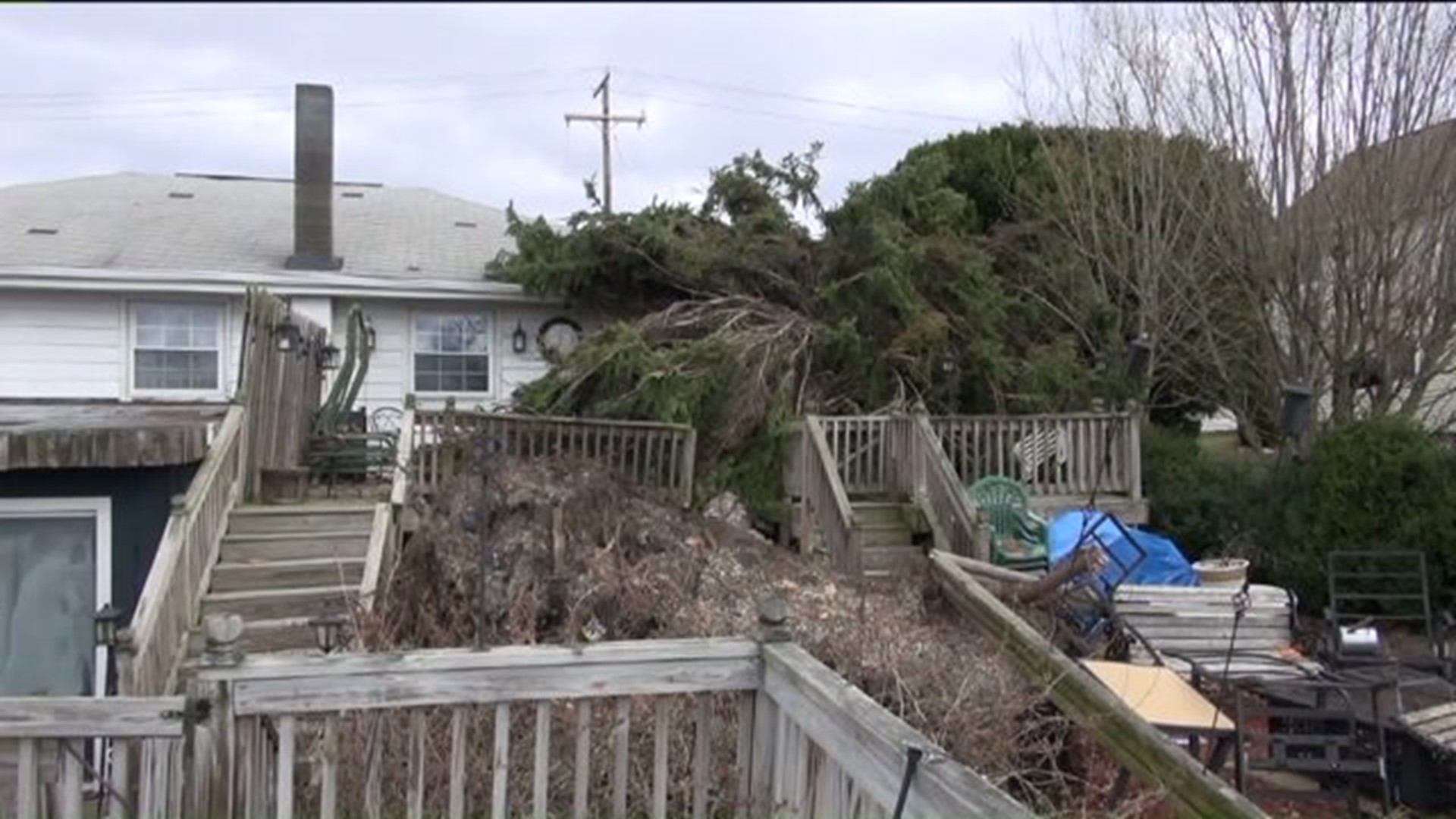 Storm Damages Home; Takes Down Trees, Wires in Lackawanna County