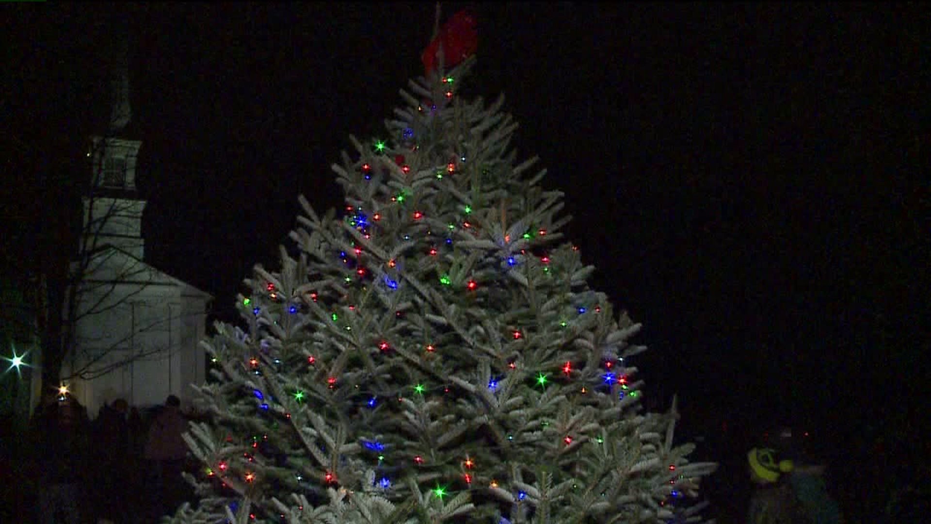 Tree Lighting Has Extra Meaning in Susquehanna County