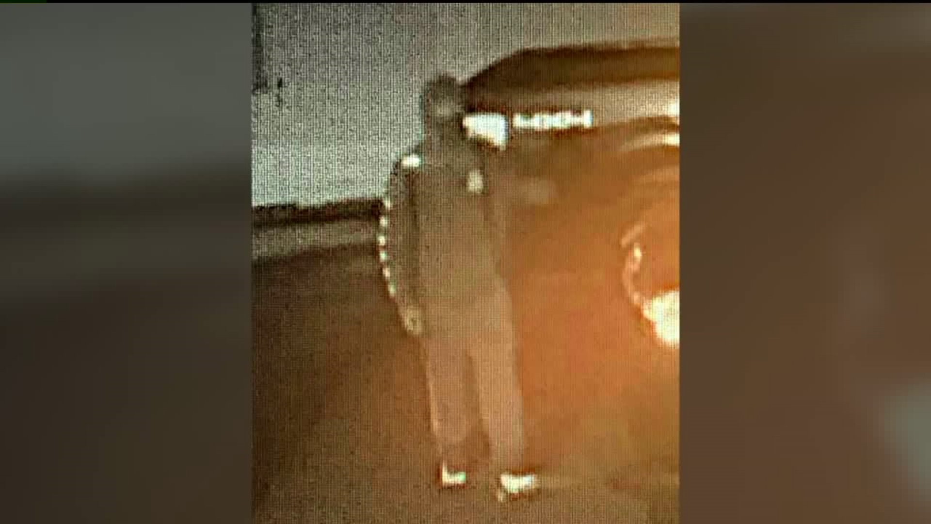 Man Wanted for More than 40 Break-Ins in Kingston