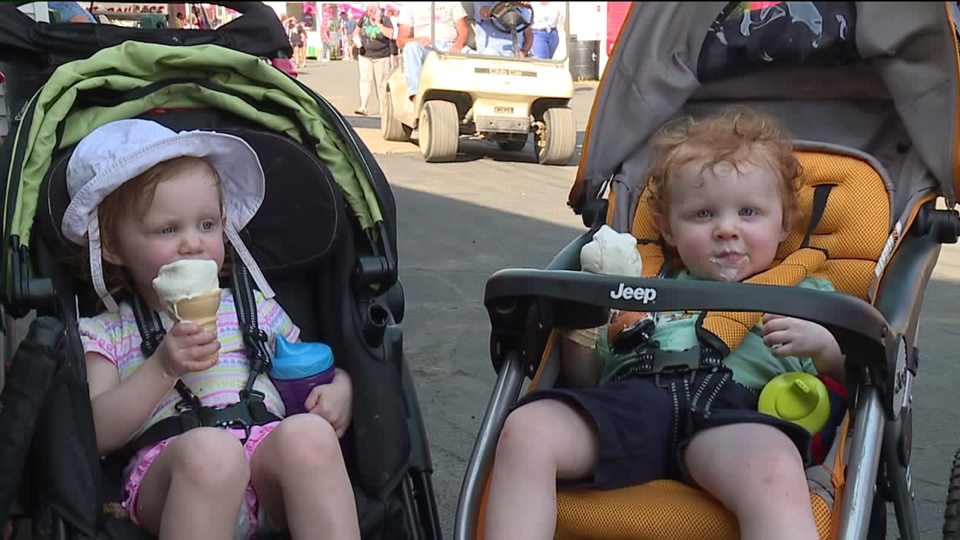 Lycoming County Fair Draws Crowd Seeking Food, Fun and Entertainment