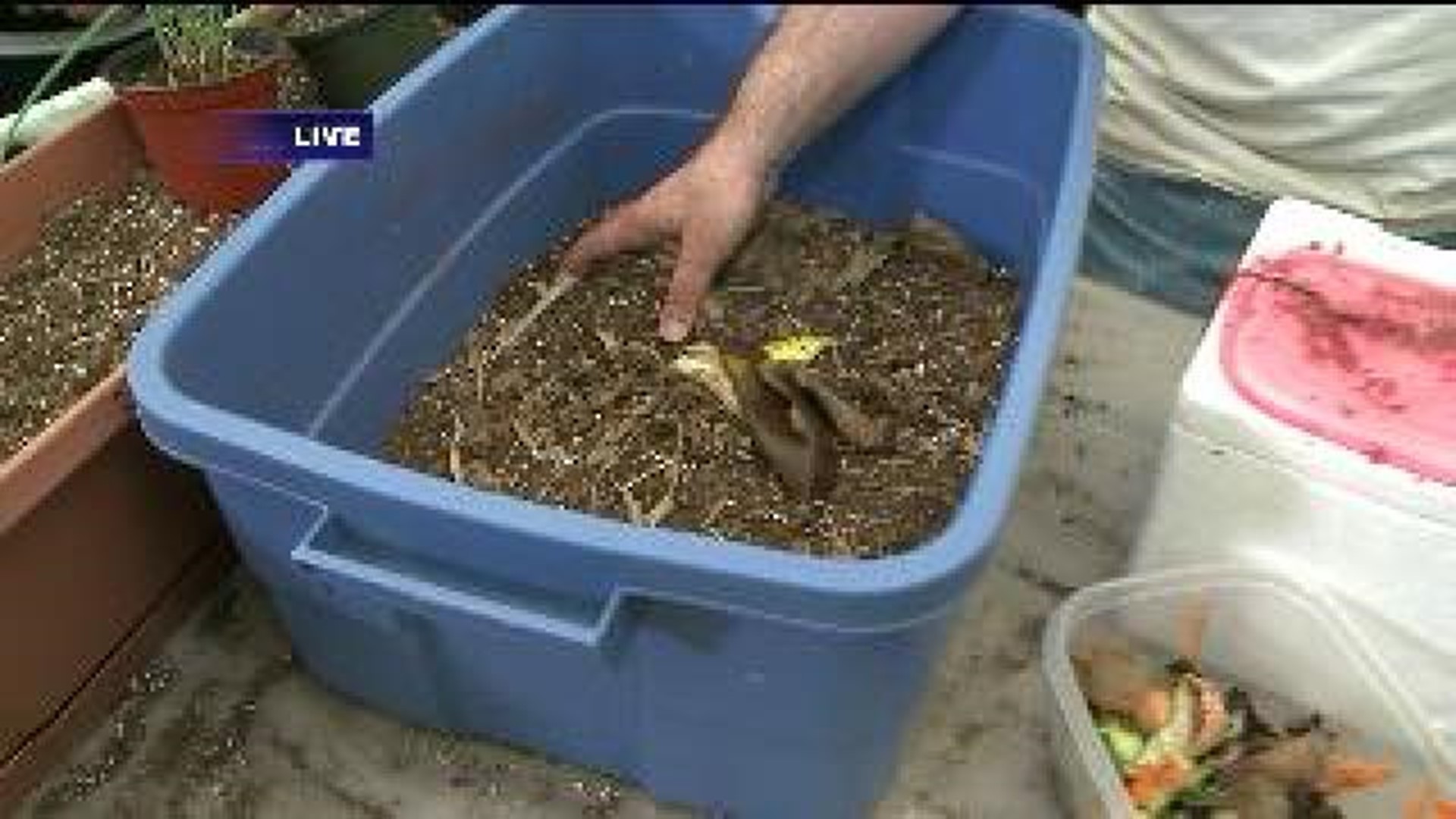 Earth Day 2014: Composting Tips