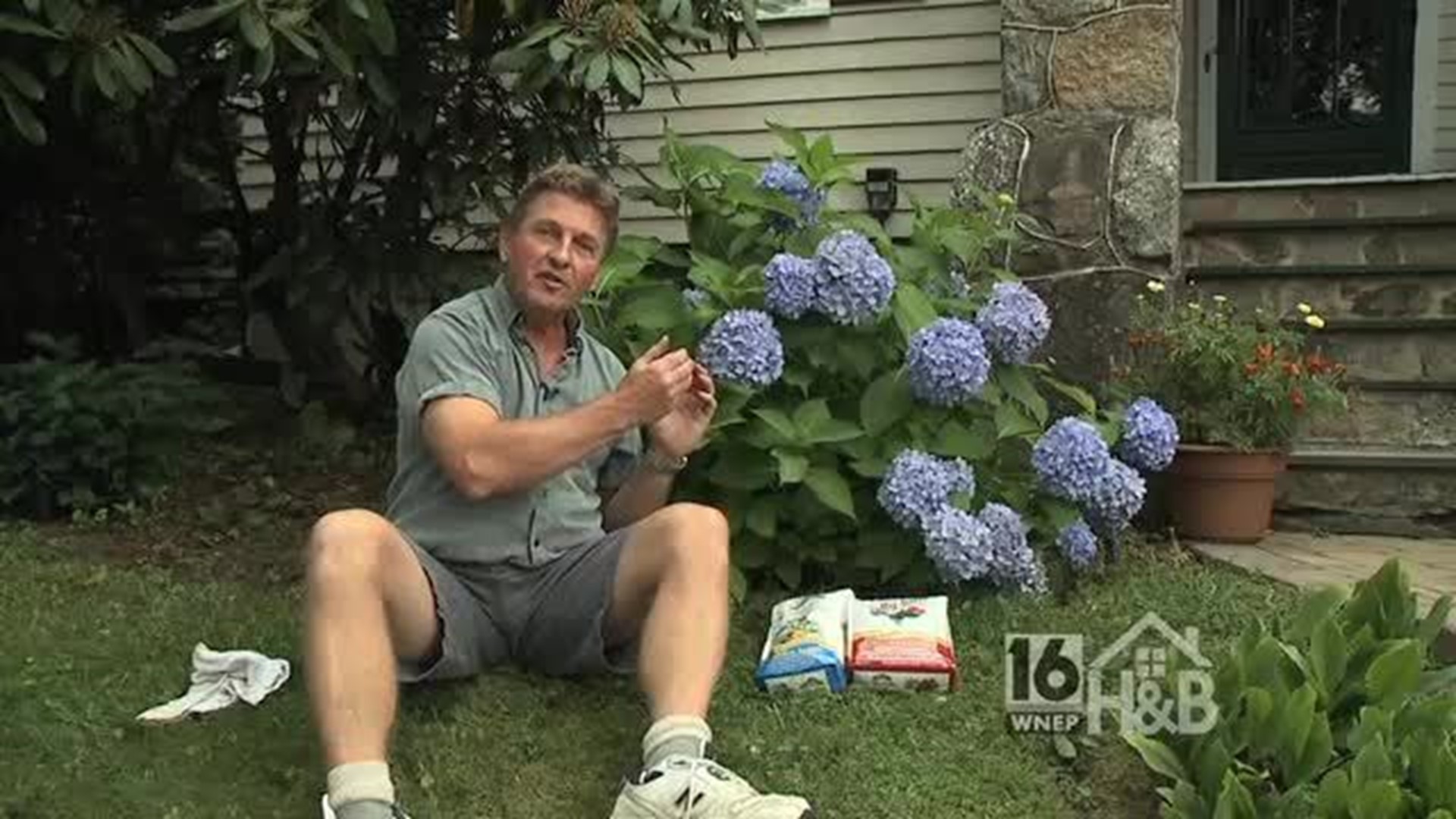 Landscaping with Hydrangeas (Part 1)