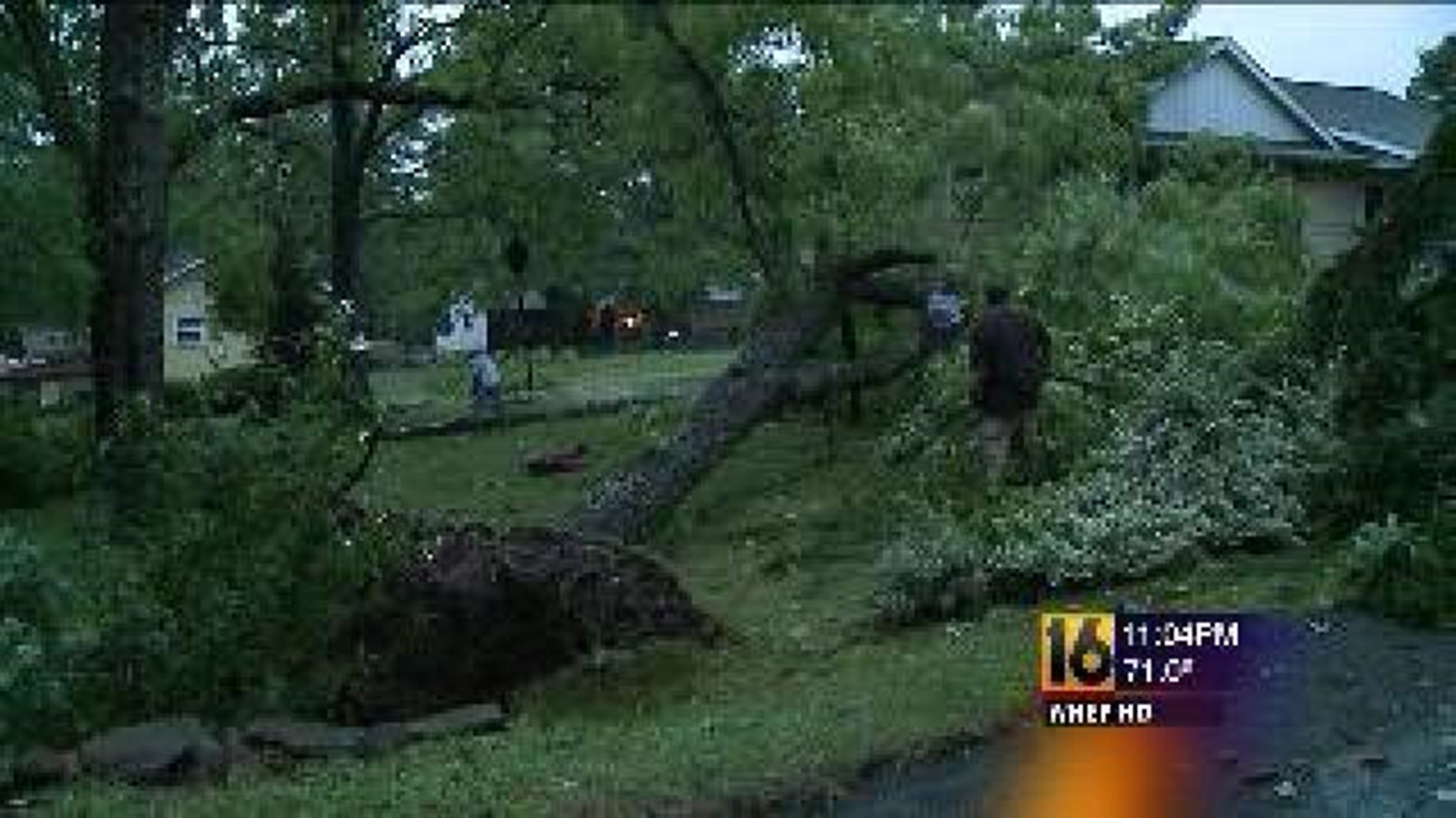 Storm Brings Down Trees in Luzerne County