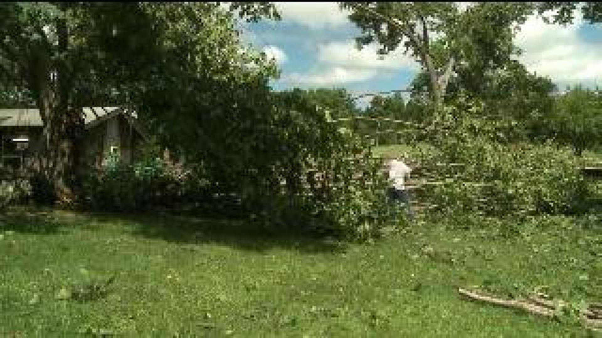 Storm Cleanup on the Fourth of July