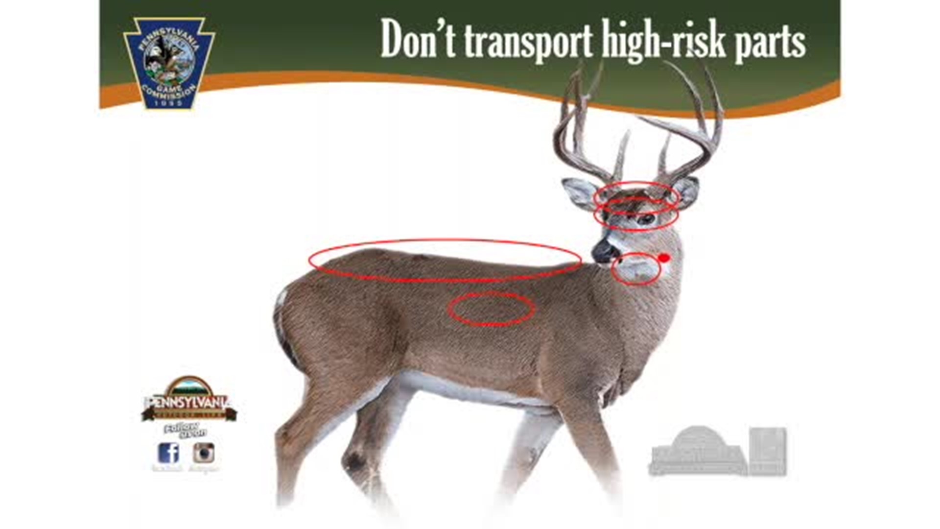 Chronic Wasting Disease Contact Pages