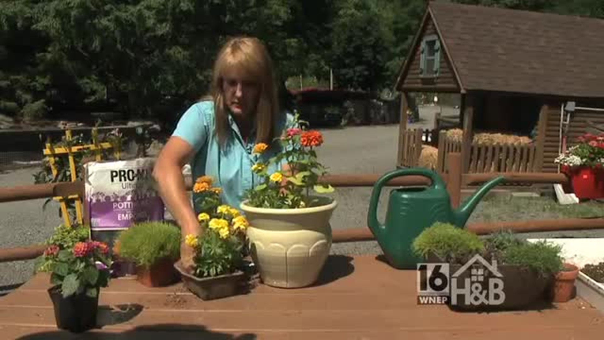Summer Planters At Edwards Garden Center Wnep Com