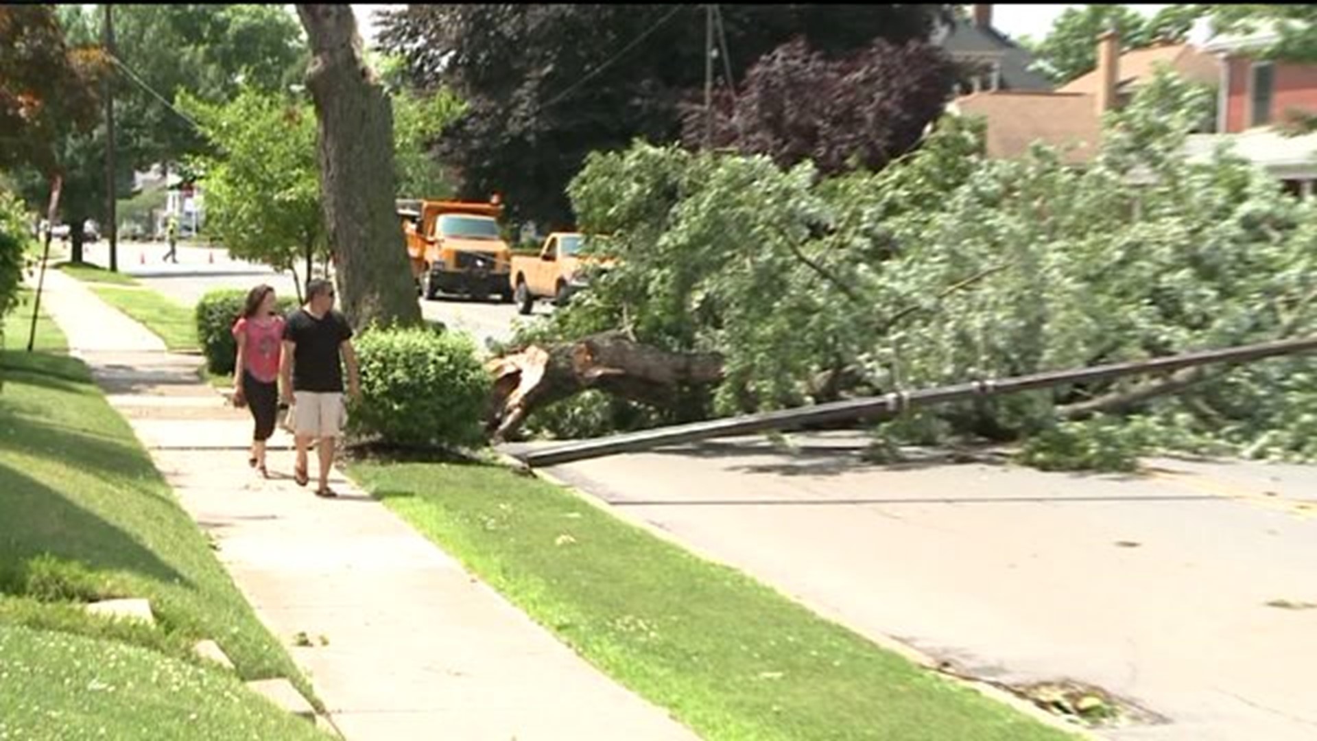 Storm Damage in Lycoming County