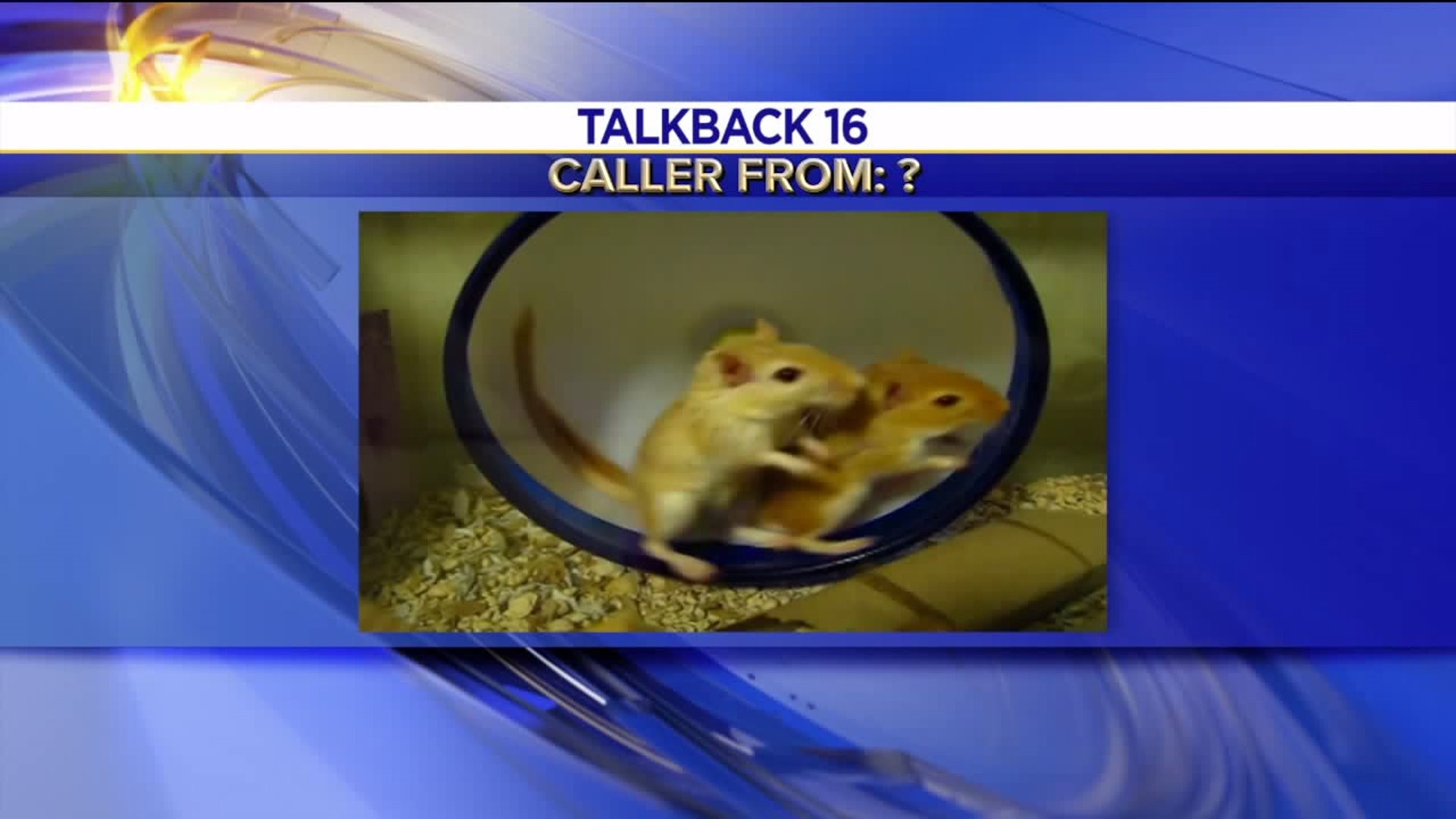 Talkback 16: Interstate 80 Crash, Man Trapped in a Sewer and Gerbil Racing
