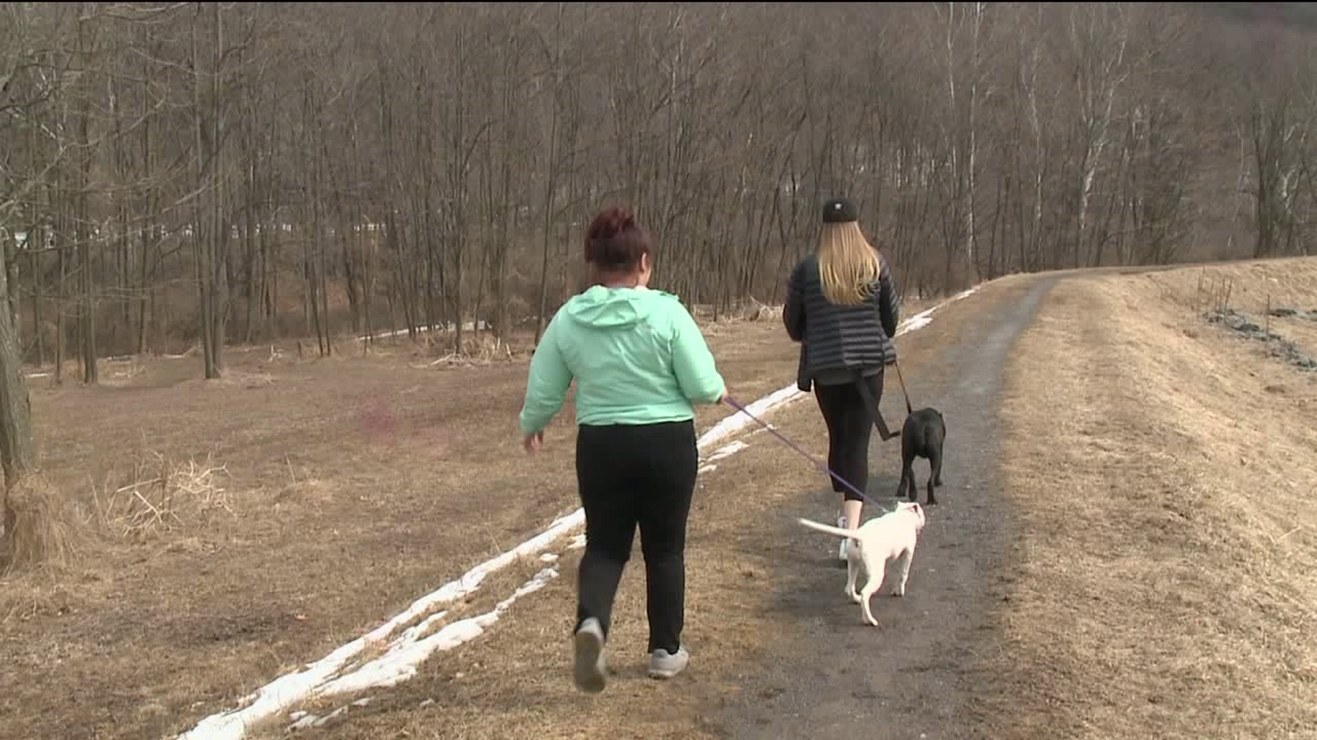 Plans for Dog Park in Hawley