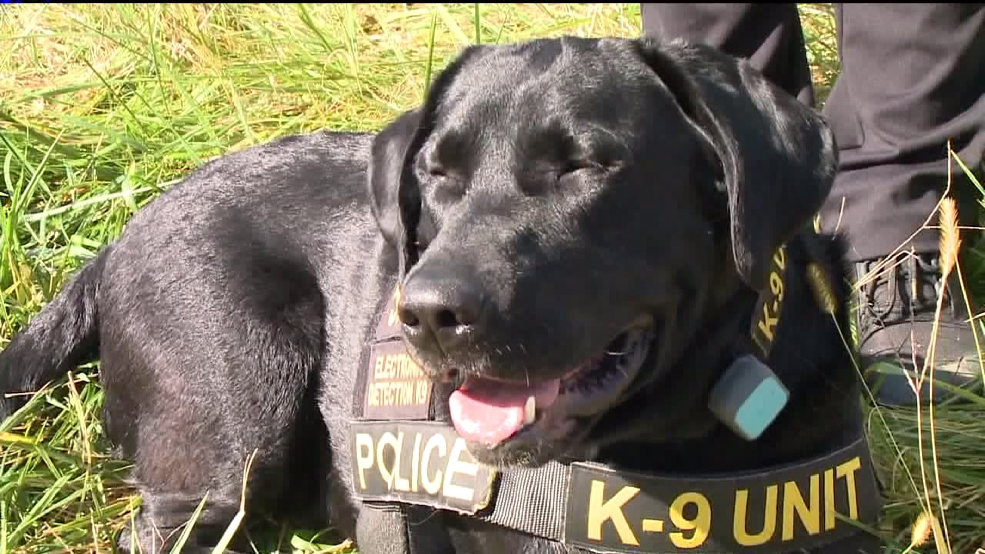 K-9 Units Ask for Public`s Vote to Win Grant