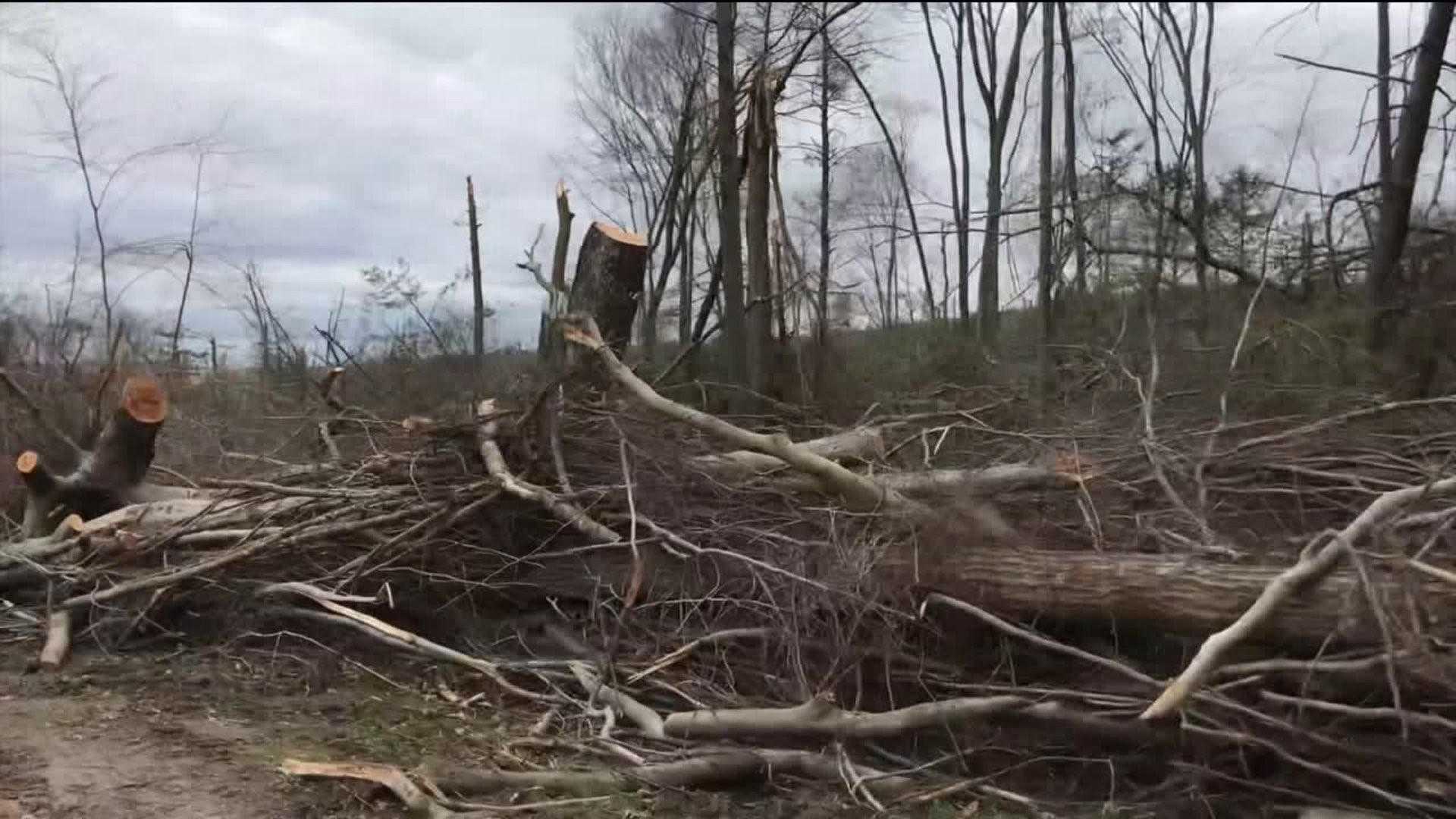 Picking Up the Pieces of Golf Course Ruined by Tornado
