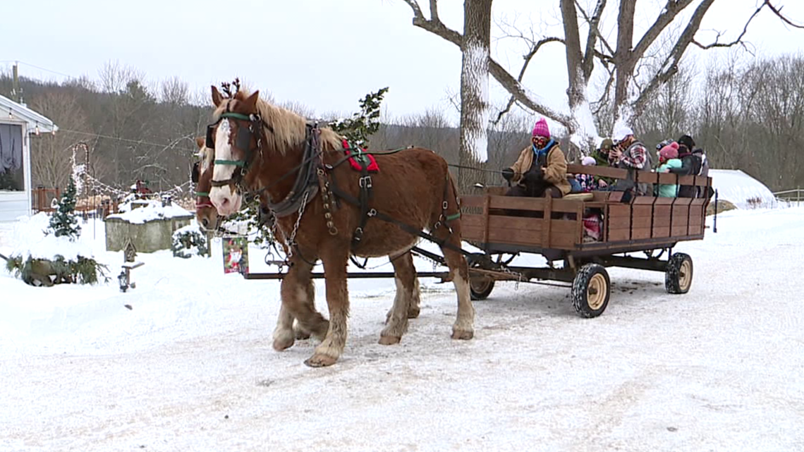 Horse-drawn wagon rides through winter wonderland in Luzerne County - Vimarsana News