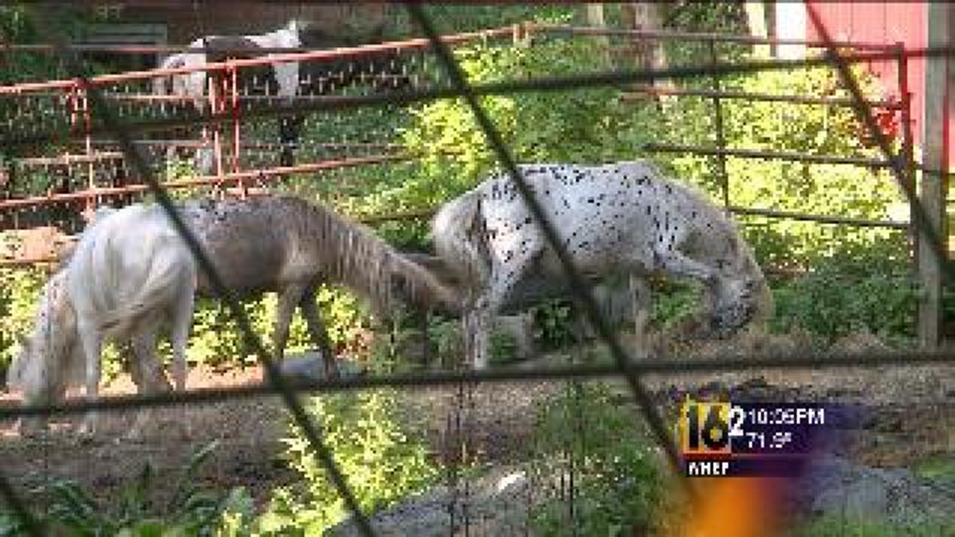 Two in Monroe Co. Charged with Animal Cruelty