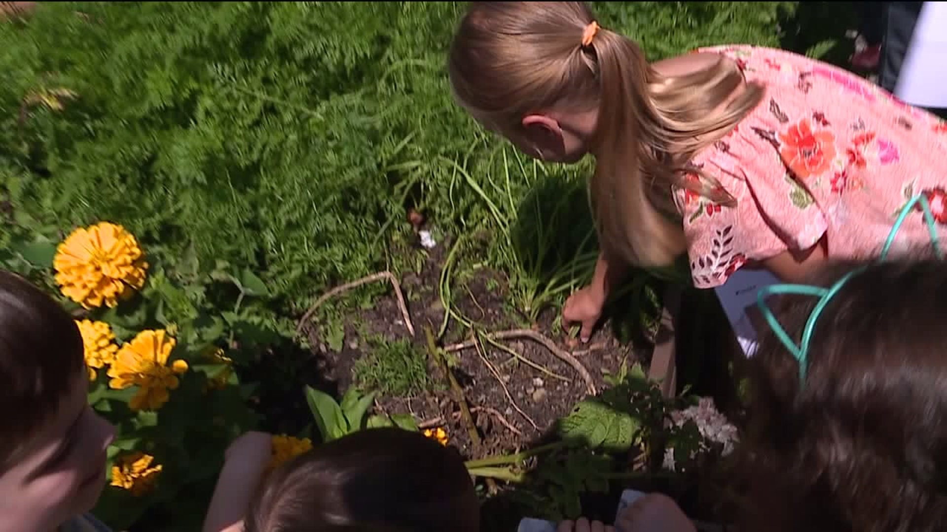 Library`s Garden in Moscow Gives Back