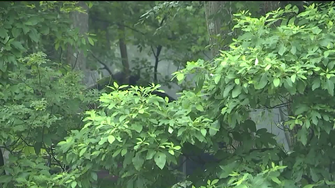 Woman Dead at Fire Scene in Luzerne County | wnep.com