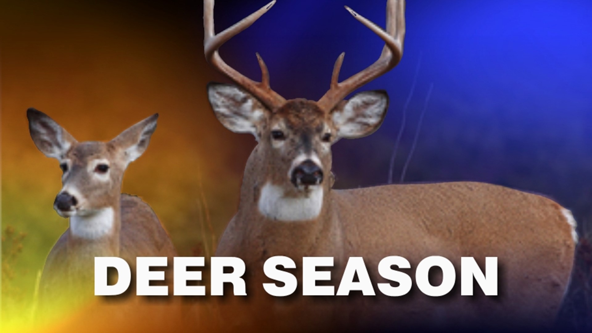 Hunters Successful In Deer Season Debut