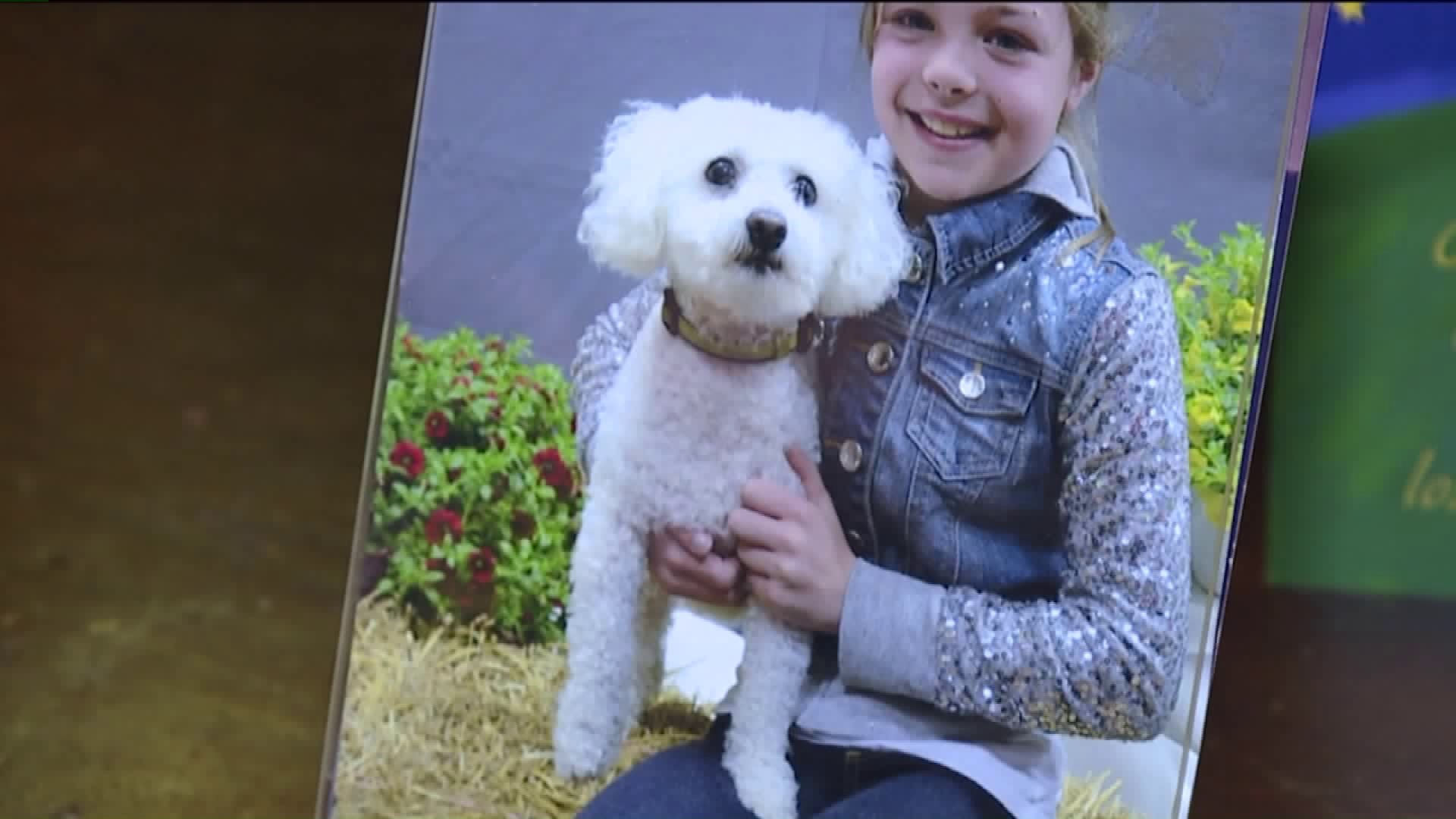 Tragedy Strikes After Family's Dog Attacked at PetSmart, Later Dies