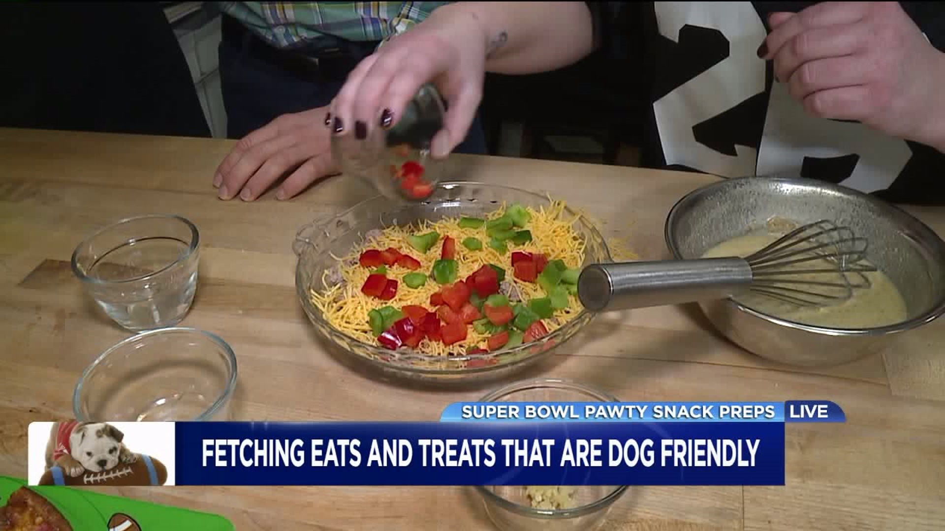 Fetching Eats and Treats That Are Dog Friendly