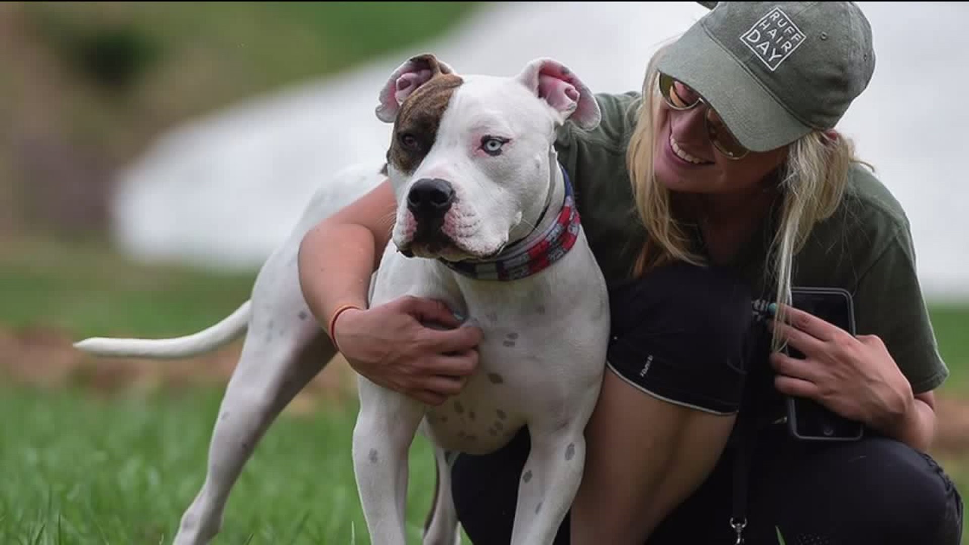 Bark Bash Free Dog Friendly Festival Hits Poconos This Weekend Wnep Com