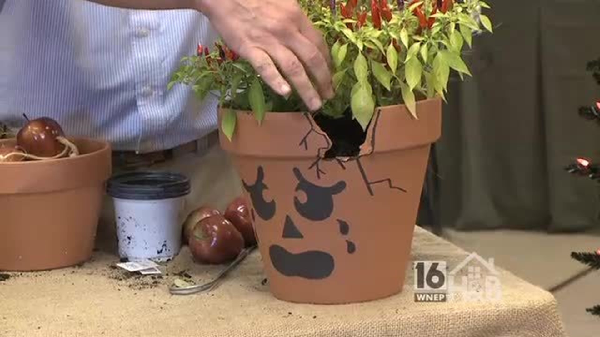 Keith Phelps Halloween Pot Planters