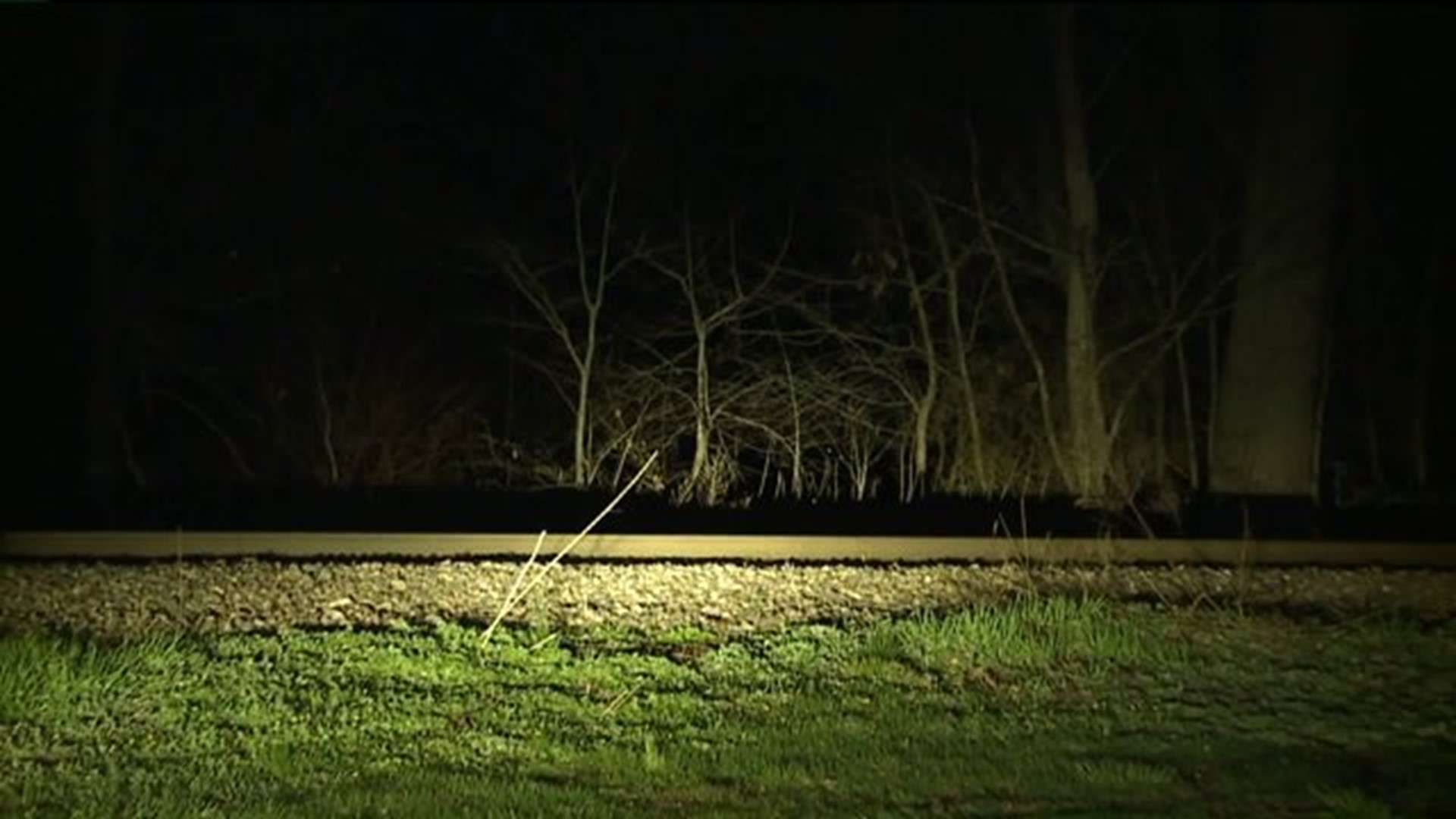State Police Investigating After Bones Found Near Danville