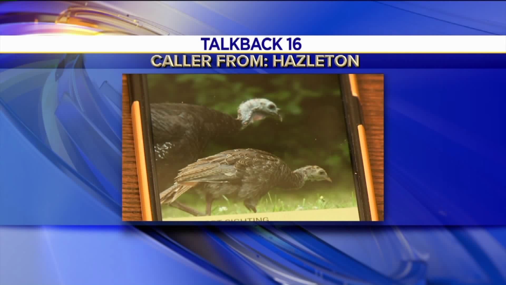 Talkback 16: Tracking Turkeys, Football Season, and Burglars Caught on Tape