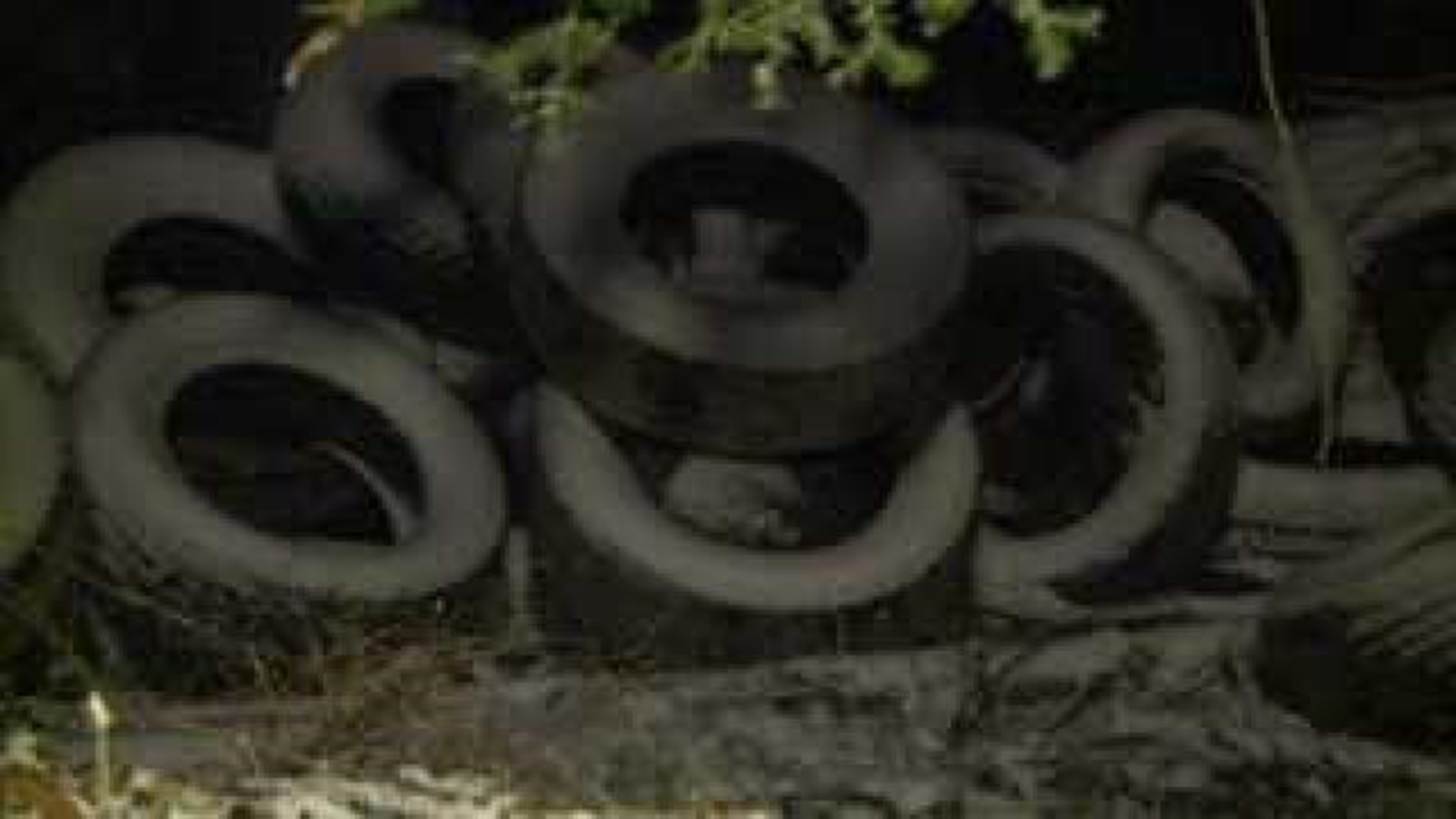 Dozens of Tires Dumped on Property
