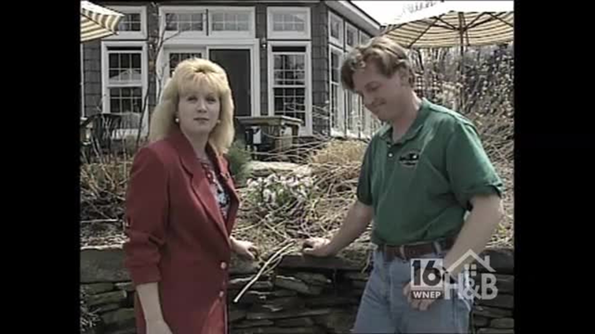 20 Years of Gardening