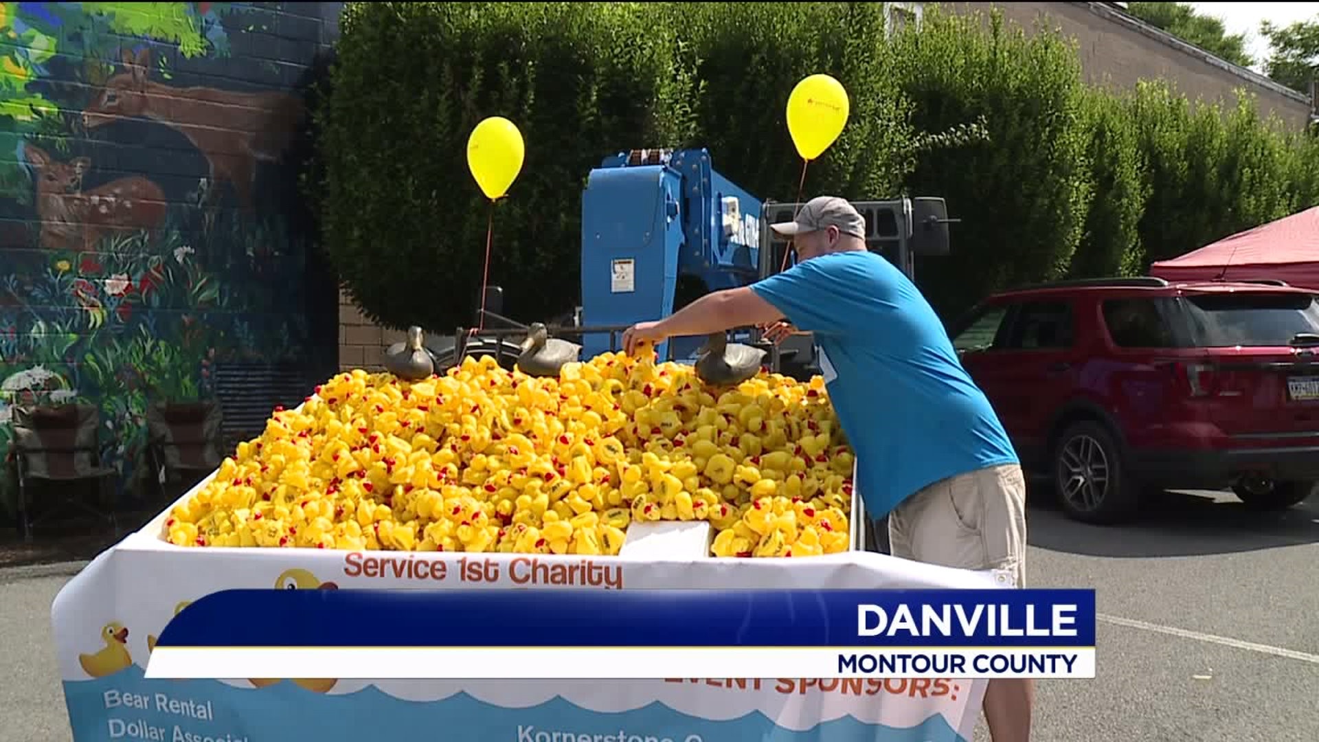 Ducking and Diving in Danville for Charity