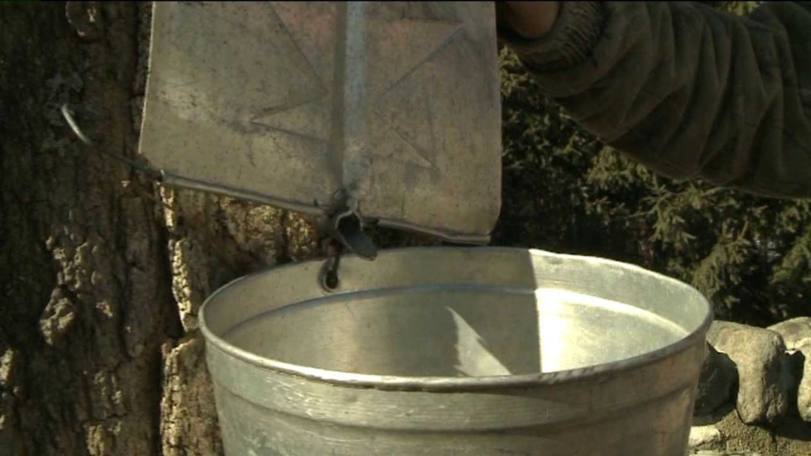 Maple Syrup Farmers Starting to Tap
