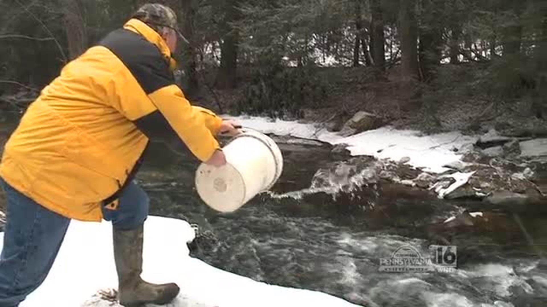 Schuylkill County Trout Stocking