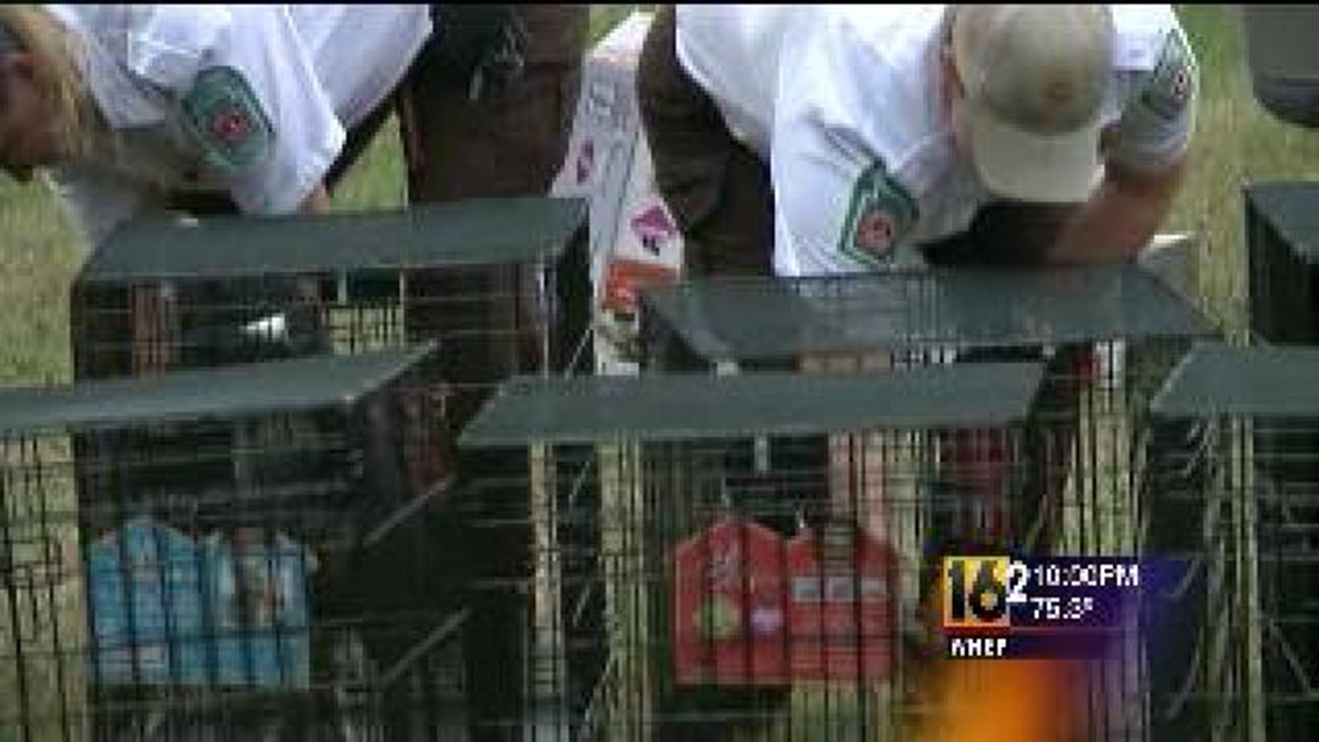 State Wardens Seize More Than 200 Dogs From Home