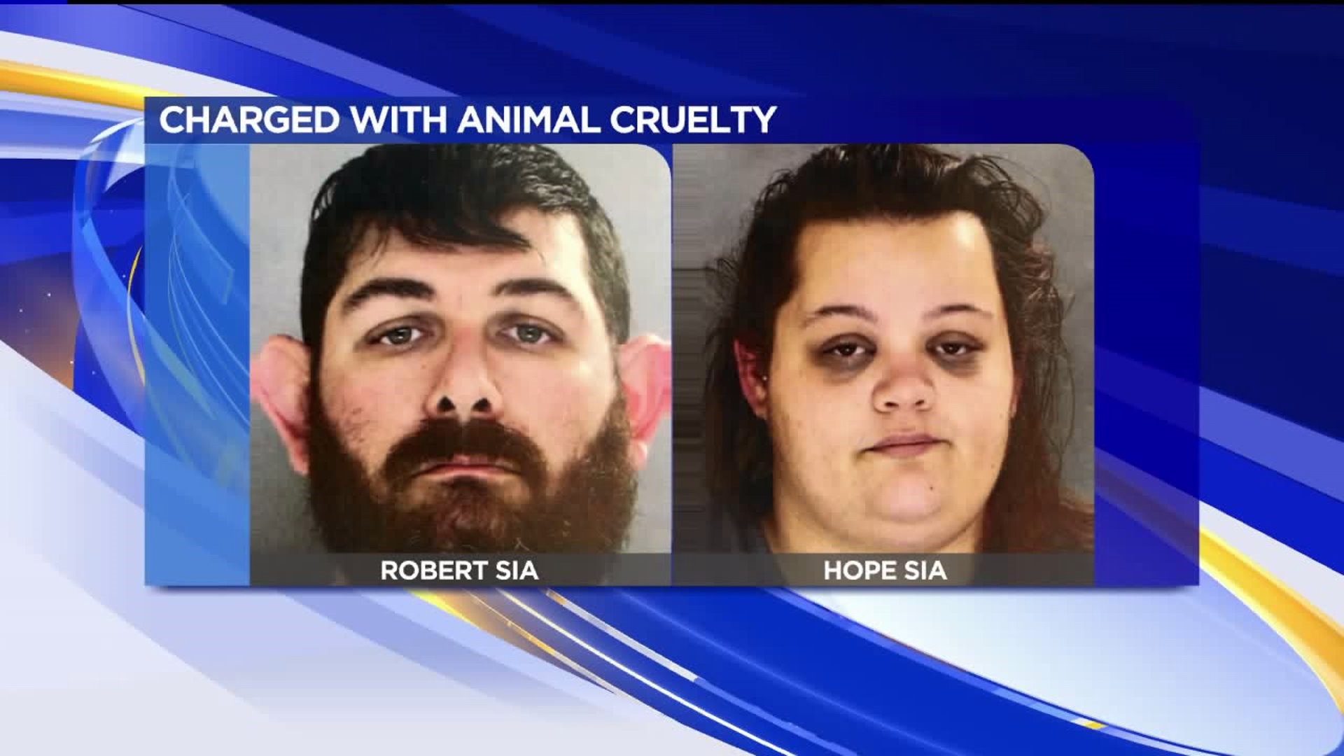 Couple Facing Animal Cruelty Charges in Lackawanna County