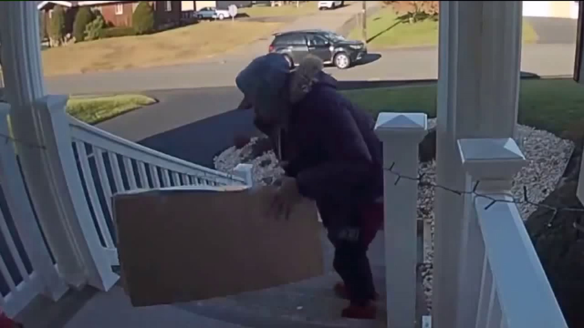 Porch Pirate Caught in the Act
