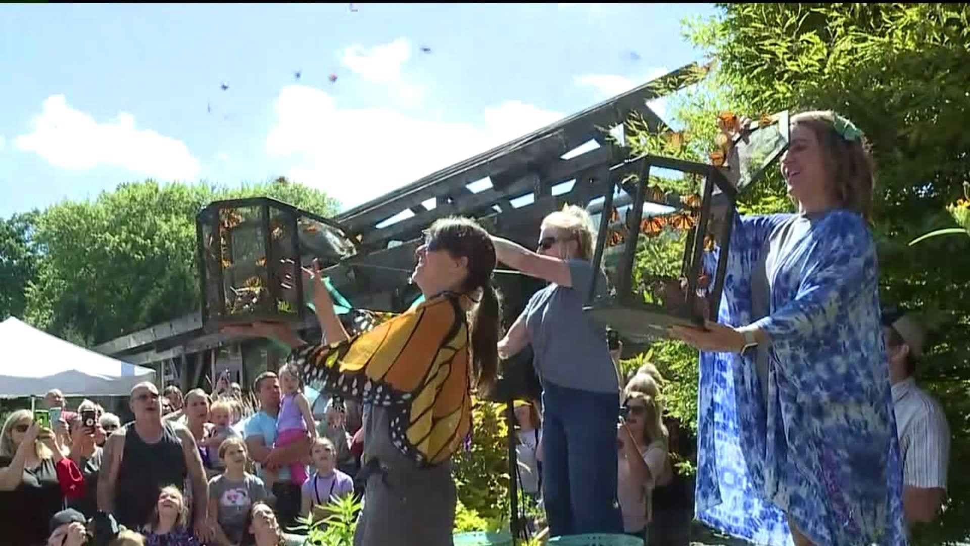 Butterfly Release in Wyoming County