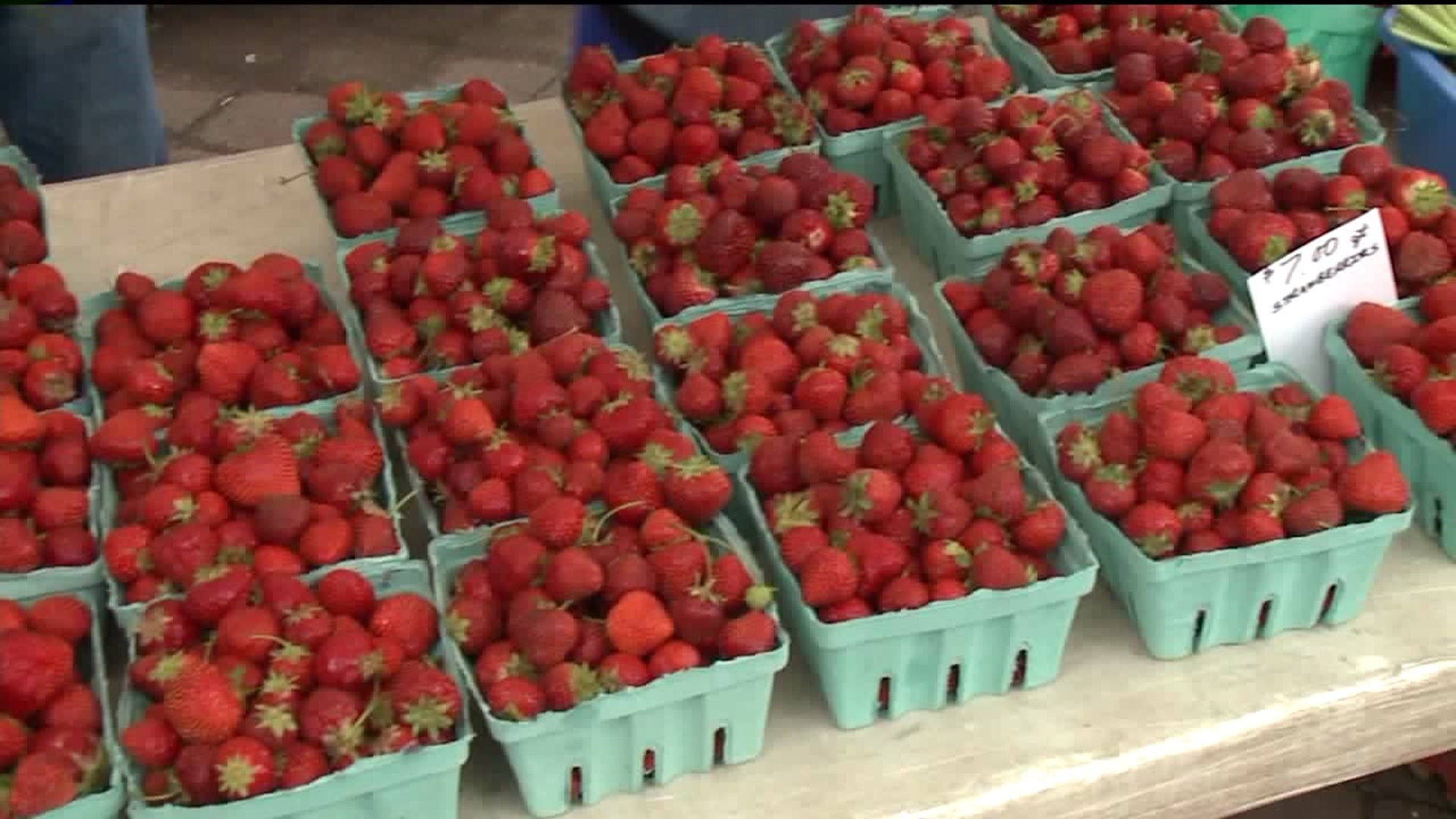 Rainy Weather Hurts Strawberry Festival in Wilkes-Barre