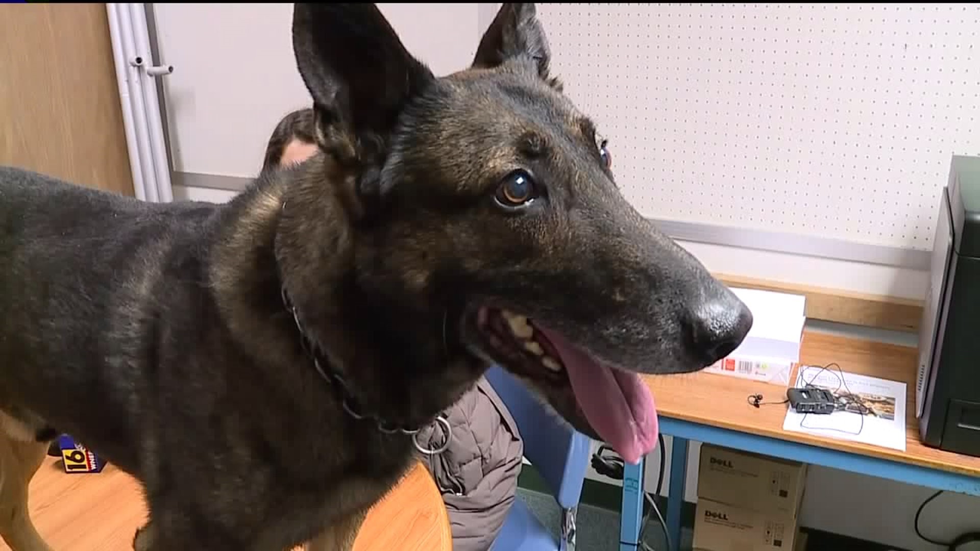K-9 Retires from South Williamsport Police Department