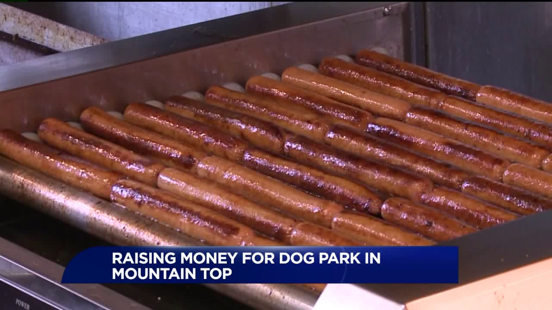 Eating Up Hot Dogs to Raise Money for Dog Park