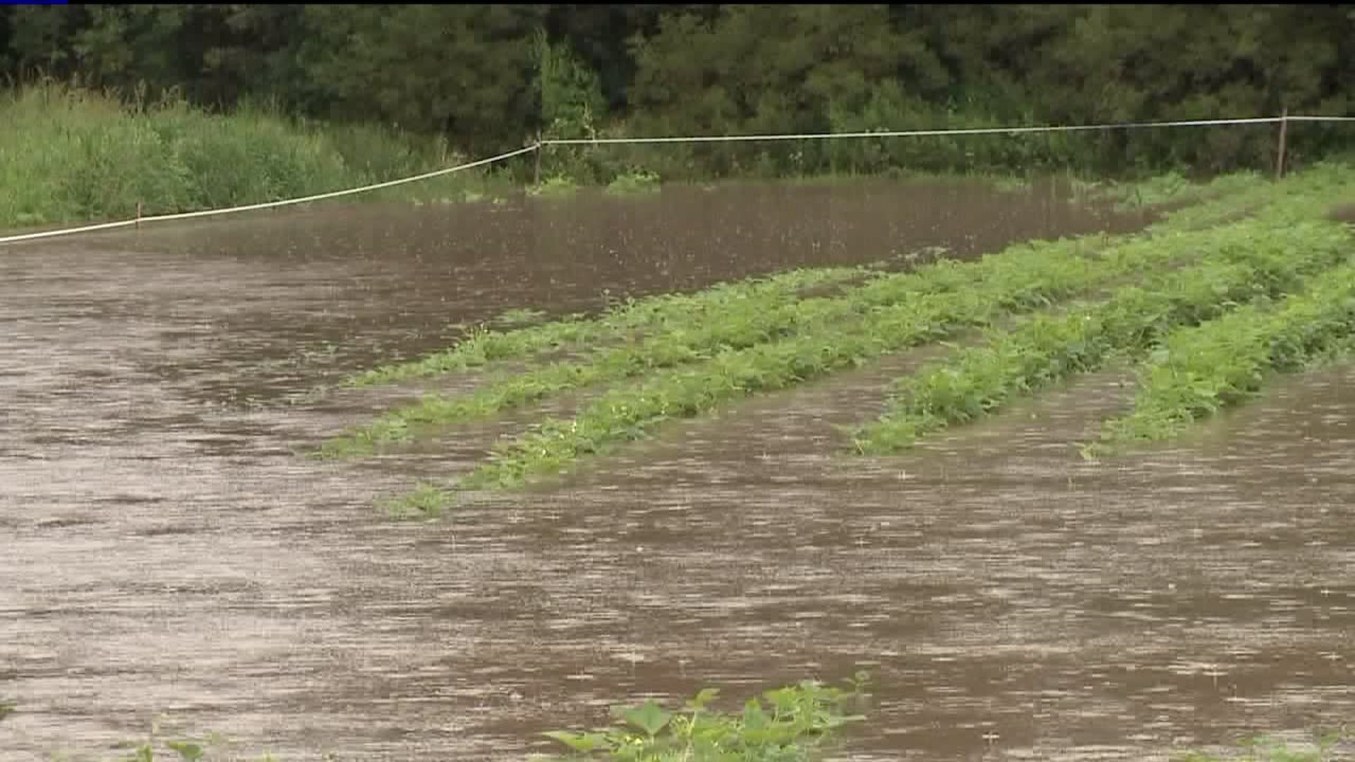 Governor Announces Disaster Relief for Farmers Affected by Flooding
